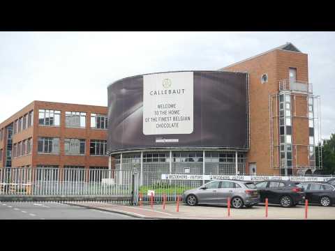 Salmonella found in world's biggest chocolate plant