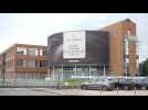 Salmonella found in world's biggest chocolate plant