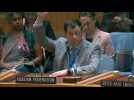 Russia vetoes UN resolution extending cross-border aid to Syria
