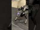Voici Sirius le chien de garde robotique ! #robot #sirius #shorts