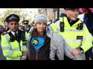 PHOTOS: Climate activist Greta Thunberg detained at London protest