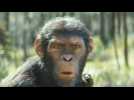 La Planète des Singes : Le Nouveau Royaume - Bande annonce 9 - VO - (2024)