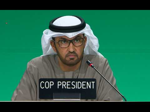 COP28 president says summit 'making progress, but not fast enough'
