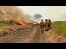 Flames continue spreading in Brazil's Pantanal wetlands