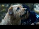 Arthur the King - Bande annonce 1 - VO - (2024)