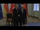 Turkey's Erdogan meets German counterpart Steinmeier in Berlin