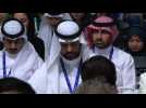 Arab Group welcomes 'successful first global stocktake' at COP28