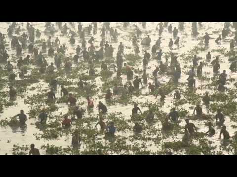 Villagers fish to celebrate harvest festival in India's northeast