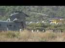 Rescued Indian workers board helicopter to be airlifted to hospital in Rishikesh