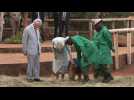 King Charles joins Camilla at Sheldrick Wildlife Trust in Nairobi