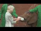 Queen Camilla visits elephant orphanage on second day of state visit to Kenya