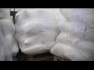 Paraguay police seizes over 3,000 kilos of cocaine bound for Europe
