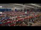 Mexico: People take basic goods from looted store after devastating hurricane
