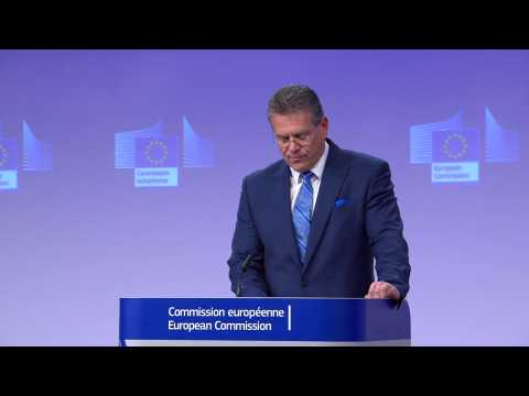 Proposed three-year EU delay on UK electric car tariffs 'balanced': Sefcovic