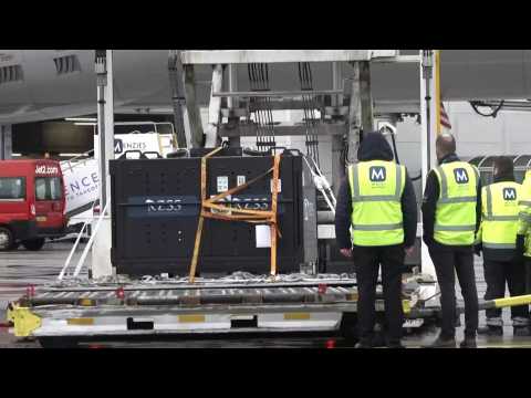Edinburgh Zoo pandas loaded onto plane for their return to China