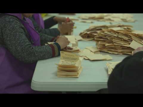 Officials begin counting votes for Indigenous Voice referendum