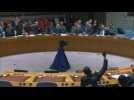 UN Security Council urges 'immediate' end to Huthi Red Sea attacks