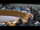 UN Security Council 'demands' Gaza aid deliveries at scale
