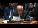 UN Security Council resolution 'step in right direction': Palestinian envoy