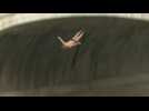 Romans jump into the Tiber to celebrate the New Year