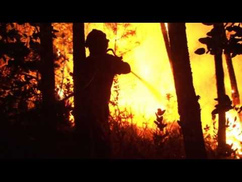 Huge Portugal forest fire kills dozens