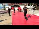 Red carpet rolled out ahead of Cannes 2017 festival opening