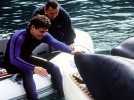 Sauvez Willy 3, la poursuite - Bande annonce 1 - VO - (1997)