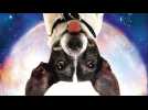 Un chien croc bien - Bande annonce 1 - VO - (2012)