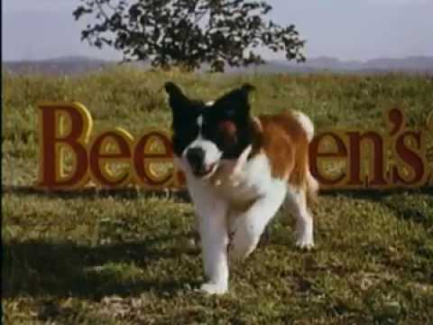 Beethoven 2 - Bande annonce 1 - VO - (1993)