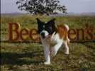 Beethoven 2 - Bande annonce 1 - VO - (1993)
