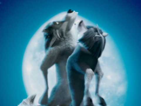 Alpha & Omega - 3D - Bande annonce 2 - VO - (2010)