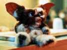 Gremlins 2, la nouvelle génération - Bande annonce 2 - VO - (1990)
