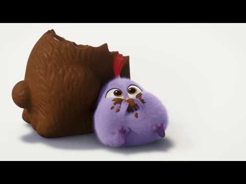 Angry Birds - Le Film - Teaser 14 - VO - (2016)