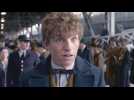 Les Animaux fantastiques - Bande annonce 10 - VO - (2016)