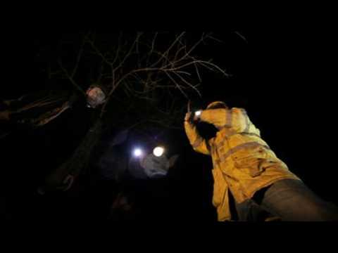 The ABCs of Death - bande annonce 2 - VOST - (2012)