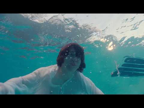 Love & Mercy, la véritable histoire de Brian Wilson des Beach Boys - Teaser 1 - VO - (2014)