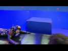 Ant-Man - Bande annonce 41 - VO - (2015)
