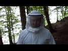 The Visit - une rencontre extraterrestre - Bande annonce 1 - VO - (2015)