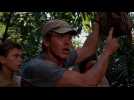 The Mosquito Coast - bande annonce - VO - (1987)