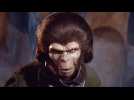 La Planète des singes - Bande annonce 1 - VO - (1968)