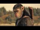 La Planète des Singes - Suprématie - Bande annonce 2 - VO - (2017)