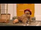 Paddington 2 - Teaser 6 - VO - (2017)