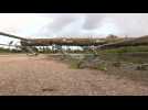 Irma: Power lines down, 6.2 million without power in Florida