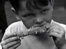 Le Petit fugitif - Bande annonce 2 - VO - (1953)