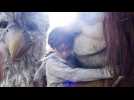 Max et les maximonstres - Bande annonce 5 - VO - (2009)
