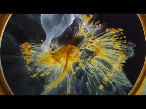 Voyage of Time : Au fil de la vie - Bande annonce 1 - VO - (2016)