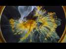 Voyage of Time : Au fil de la vie - Bande annonce 1 - VO - (2016)