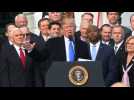 Trump after tax bill passes: 'We are making America great again'
