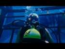 47 METRES DOWN TRAILER -  MANDY MOORE, CLAIRE HOLT, SHARKS!!!