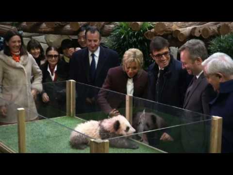 France's Brigitte Macron reveals baby panda's name: Yuan Meng